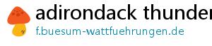 adirondack thunder