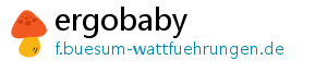 ergobaby